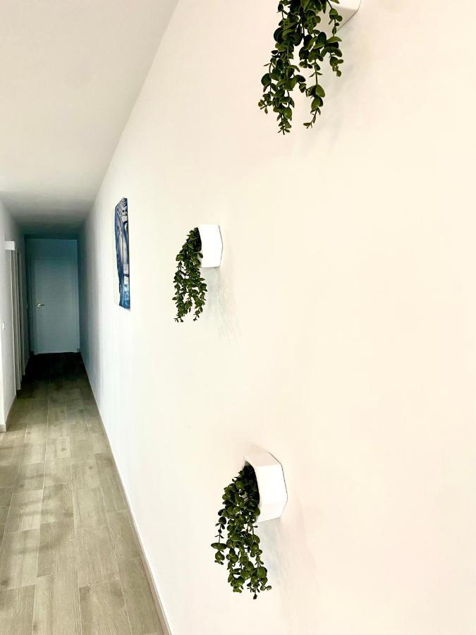 Blue House 1ª Linea Playa Apartment Torrevieja Exterior foto